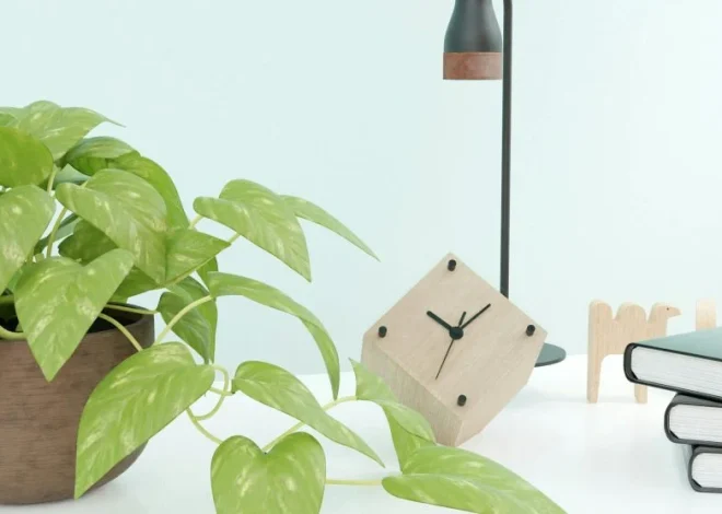 Why Simple Home Routines Often Make Daily Life Feel More Settled