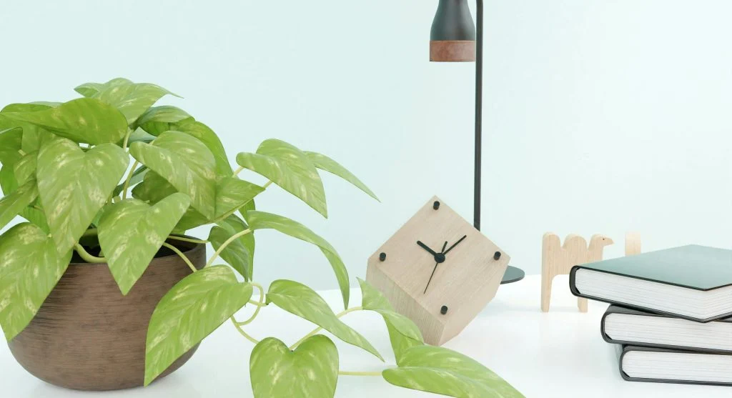Why Simple Home Routines Often Make Daily Life Feel More Settled